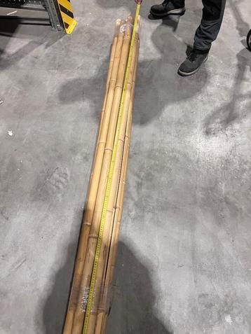 Bamboo stokken  beschikbaar voor biedingen