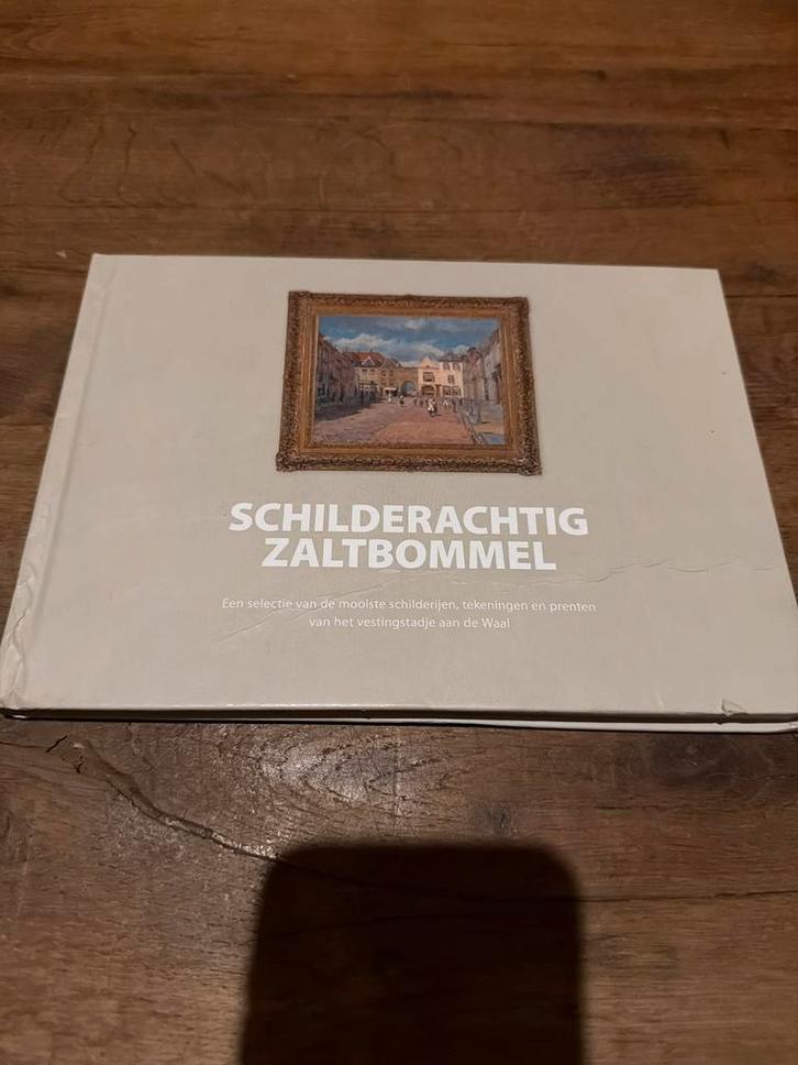 Schilderachtig Zaltbommel - Kunstboek, Boeken, Geschiedenis | Stad en Regio, Zo goed als nieuw, 20e eeuw of later, Ophalen of Verzenden