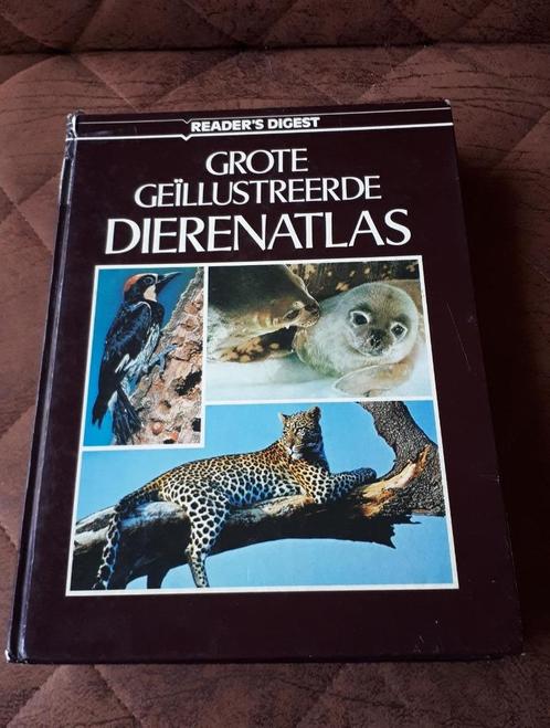 Boek-Grote geïllustreerde Dierenatlas-Reader's Digest-428blz, Boeken, Dieren en Huisdieren, Gelezen, Overige diersoorten, Verzenden