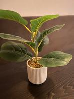 Kunstplant met pot, Ophalen, Zo goed als nieuw, Binnen