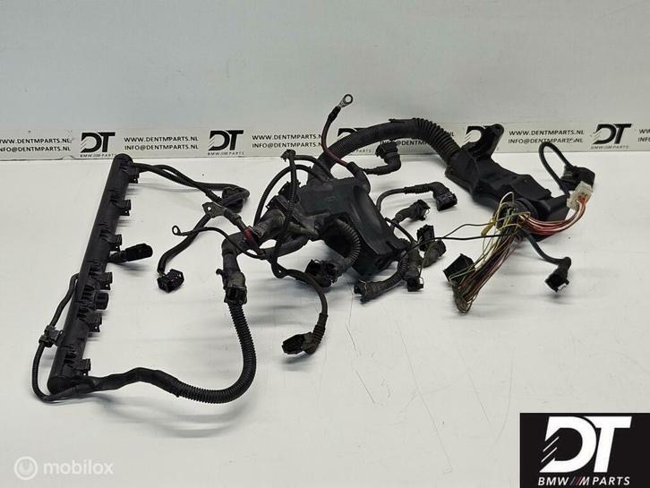 Kabelboom motor BMW E46 M3 S54 S54B32 MSS54 12517831646, Auto-onderdelen, Elektronica en Kabels, BMW, Gebruikt, Ophalen of Verzenden