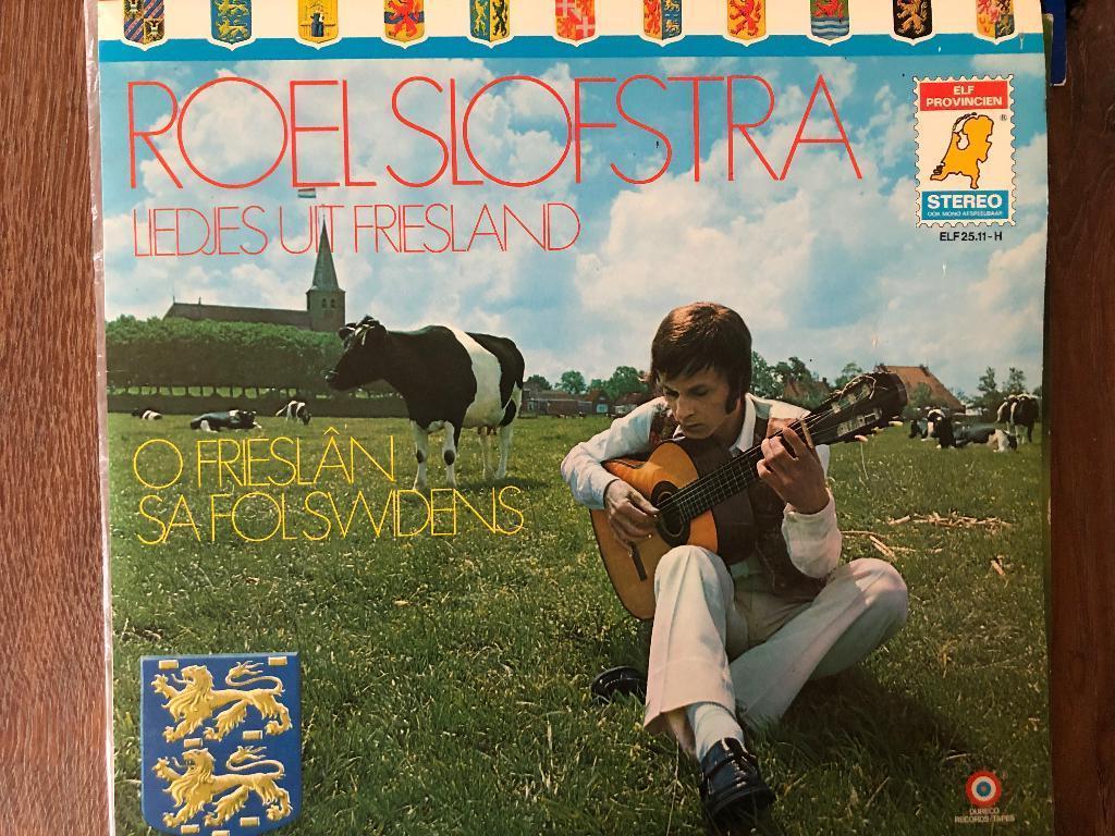 Vinyl Lp lang speel plaat Fries Roel Slofstra, Cd's en Dvd's, Ophalen of Verzenden, Gebruikt, Overige formaten