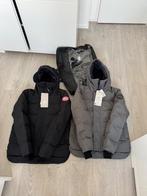 Canada goose macmillan, Ophalen of Verzenden, Nieuw, Overige maten, Zwart