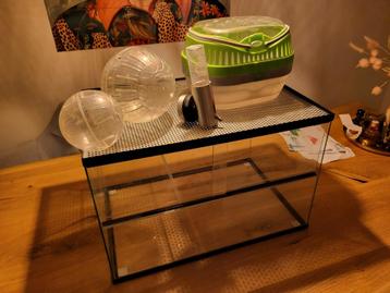 Terrarium voor knaagdieren 40 x 60 x 40 beschikbaar voor biedingen