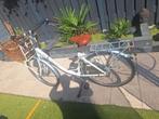 Puch Mamafiets - Witte Damesfiets met Mand, Overige merken, Ophalen of Verzenden, 53 tot 56 cm, Gebruikt