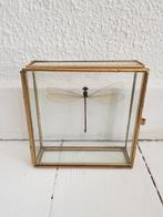 Goudkleurige messing glazen stolp libelle kastje 10x10 cm, Huis en Inrichting, Woonaccessoires | Stolpen, Ophalen of Verzenden