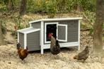 Kunststof kippenhok Julia , zeer handig met vuillade, Dieren en Toebehoren, Ophalen of Verzenden, Zo goed als nieuw, Kippenhok of Kippenren