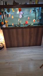 Aquarium juwel rio 450, Dieren en Toebehoren, Vissen | Aquaria en Toebehoren, Ophalen