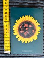 678. Kaart Anne Geddes Baby zonnebloem, Ophalen of Verzenden, Ongelopen