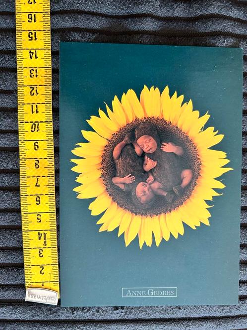 678. Kaart Anne Geddes Baby zonnebloem, Verzamelen, Ansichtkaarten | Themakaarten, Ongelopen, Ophalen of Verzenden