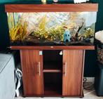 Compleet Juwel Rio 180 aquarium in goede staat, Ophalen, Gebruikt, Gevuld zoetwateraquarium