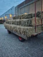 40 pakjes hooi, Dieren en Toebehoren, Meerdere dieren, Schaap