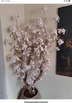 Bloesemboom op echt hout van Annefleurs met pot.Eyecatcher., Ophalen, Zo goed als nieuw