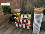 TE HUUR! Bloemenbar, Ophalen