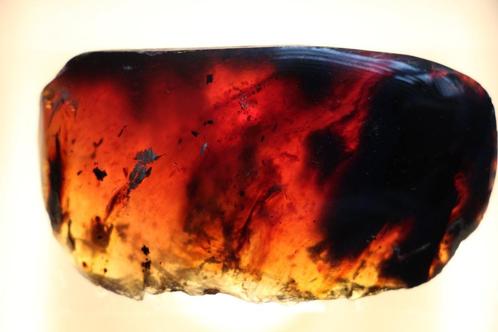 Amber (barnsteen), Verzamelen, Mineralen en Fossielen, Mineraal, Ophalen of Verzenden