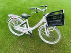 Alpina clubb meisjesfiets 22 inch transportfiets kinderfiets, Ophalen of Verzenden, Gebruikt, 22 inch, Handrem