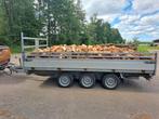 Brandhout Eik, Kers en berk, Minder dan 3 m³, Ophalen, Eikenhout, Blokken