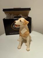 Beeldje Castagna 0636M “Labrador” met originele doos, Verzenden, Nieuw, Dier