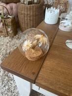 Te koop; droogbloemen in glazen bol/stolp, Ophalen of Verzenden, Nieuw