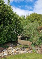 groot bronzen hert, Tuin en Terras, Tuinbeelden, Overige materialen, Gebruikt, Ophalen, Dierenbeeld