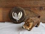 Wild zwijn tanden keiler trofee taxidermie 1982, Verzamelen, Dierenverzamelingen, Ophalen of Verzenden, Gebruikt, Wild dier, Overige typen