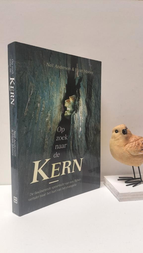 Anderson, Neil; Op zoek naar de kern, Boeken, Godsdienst en Theologie, Gelezen, Christendom | Protestants, Ophalen of Verzenden