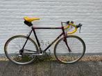 Specialized Epic vintage racefiets, 28 inch, Gebruikt, 15 tot 20 versnellingen, 53 tot 57 cm