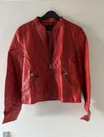 Rood nieuw bikerjasje Vero moda, Vero Moda, Nieuw, Ophalen of Verzenden, Jasje