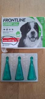 Frontline XL Combo vanaf 40 kg vlooiendruppels, Ophalen of Verzenden, Nieuw