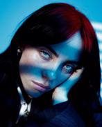 GEZOCHT: 2 Billie Eilish tickets Amsterdam 5 mei, Twee personen, Mei