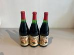 Domaine des Perrières Chinon 1988 (3 flessen!) Antiek wijnse, Ophalen, Frankrijk, Zo goed als nieuw, Rode wijn