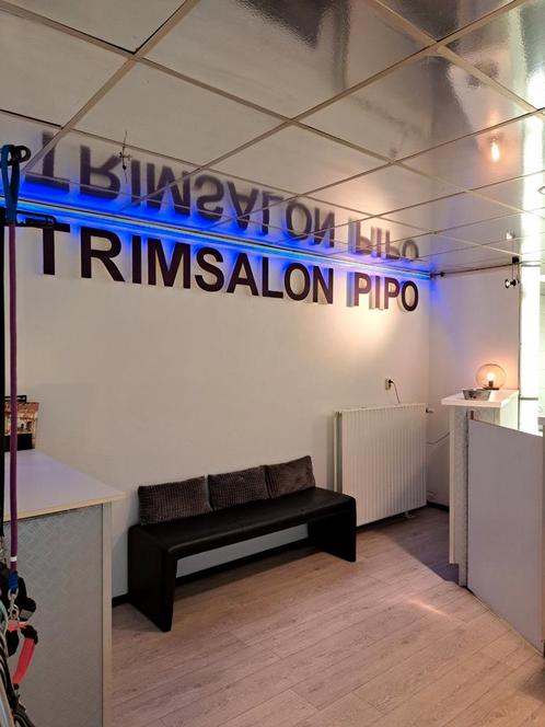 Trimsalon pipo, Diensten en Vakmensen, Dieren | Honden | Verzorging, Oppas en Les