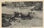 Zuiderzeewerken. - Onafgebroken stort de grijper - ongelopen, Verzamelen, Ophalen of Verzenden, 1920 tot 1940, Ongelopen, Overijssel