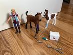 Schleich paarden verzorgset, Ophalen of Verzenden, Zo goed als nieuw