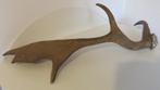 Bruin gewei 52cm lang, Verzamelen, Ophalen of Verzenden, Gebruikt, Hert, Gewei of Kop