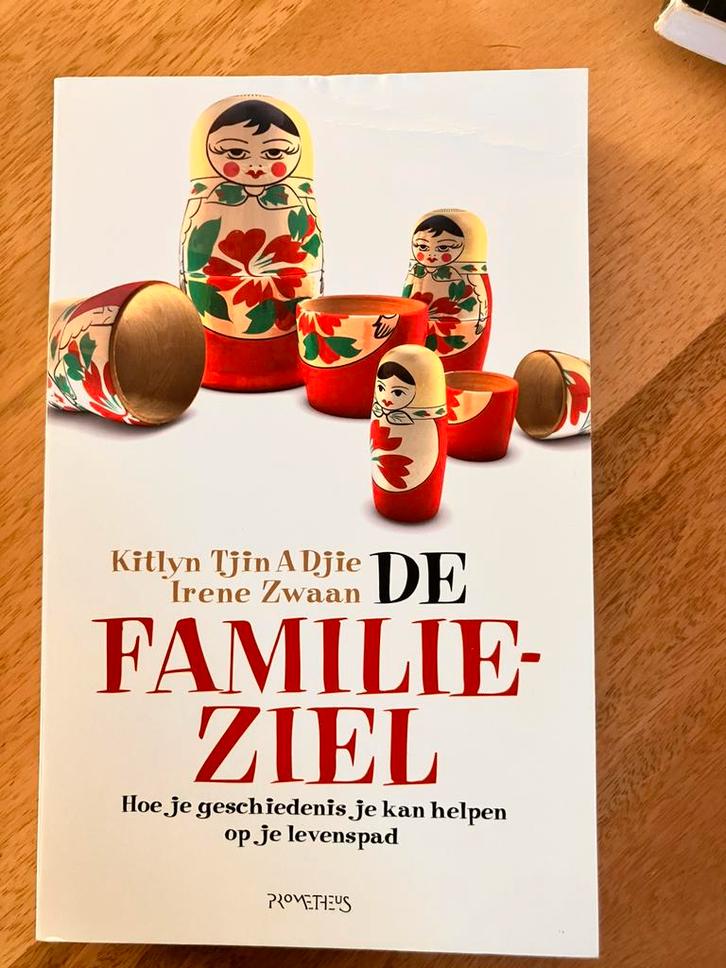 Irene Zwaan - De familieziel, Boeken, Wetenschap, Zo goed als nieuw, Sociale wetenschap, Ophalen of Verzenden