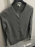 Peter hahn vest 100% cashmere, Kleding | Dames, Ophalen of Verzenden, Zo goed als nieuw, Grijs