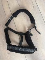 Halster maat cob, Dieren en Toebehoren, Paarden en Pony's | Hoofdstellen en Tuigage, Ophalen of Verzenden, Zo goed als nieuw, Overige soorten