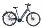 REX E-Bike Commuter+ | 1 jaar garantie, Ophalen, Nieuw