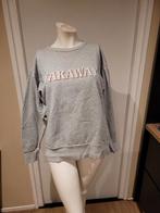 Mooie grijze Isabel Marant sweater maat 40, Ophalen of Verzenden, Zo goed als nieuw, Grijs, Maat 38/40 (M)