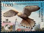 Vogel, Wit-Rusland 2010, Ophalen of Verzenden, Postfris, Dier of Natuur