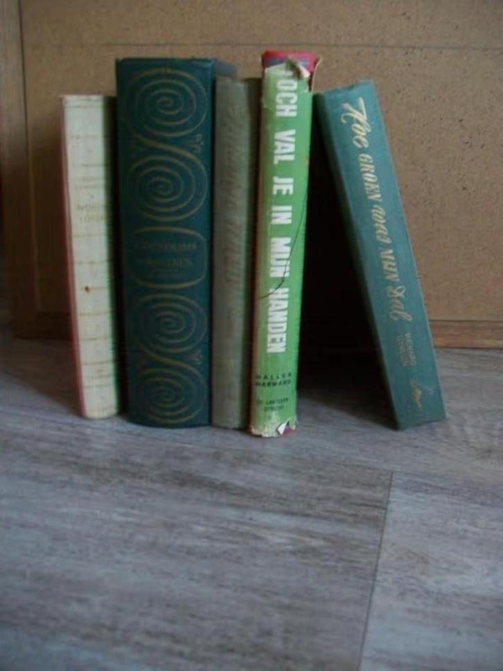 Ivoren Toren en andere romans, Boeken, Romans, Ophalen of Verzenden