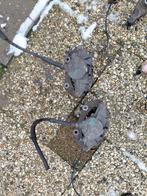 Mercedes-Benz E240 Remklauwen (2x), Ophalen of Verzenden, Gebruikt, Mercedes-Benz