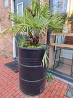 Barrel plantenbak zwart, Tuin en Terras, Ophalen, Gebruikt, Rond, Metaal