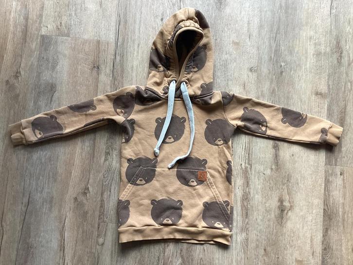 Hoodie met teddyberen (116), Kinderen en Baby's, Kinderkleding | Maat 116, Gebruikt, Jongen of Meisje, Trui of Vest, Ophalen of Verzenden