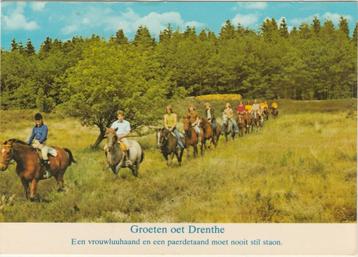 DRENTHE Ruiters  beschikbaar voor biedingen