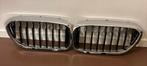 BMW 540i G30 Originele Nieren / Grill, Ophalen of Verzenden, Nieuw, BMW, Bumper