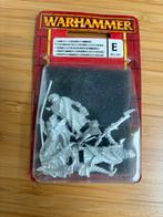 Warhammer the old world / fantasy dark elf corsairs, Hobby en Vrije tijd, Wargaming, Nieuw, Ophalen of Verzenden