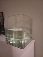 Aquarium 60 liter, Dieren en Toebehoren, Vissen | Aquaria en Toebehoren, Ophalen, Zo goed als nieuw, Gevuld zoetwateraquarium