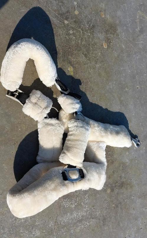 ZWART luxe nylon bont halster, Dieren en Toebehoren, Paarden en Pony's | Hoofdstellen en Tuigage, Zo goed als nieuw, Overige soorten